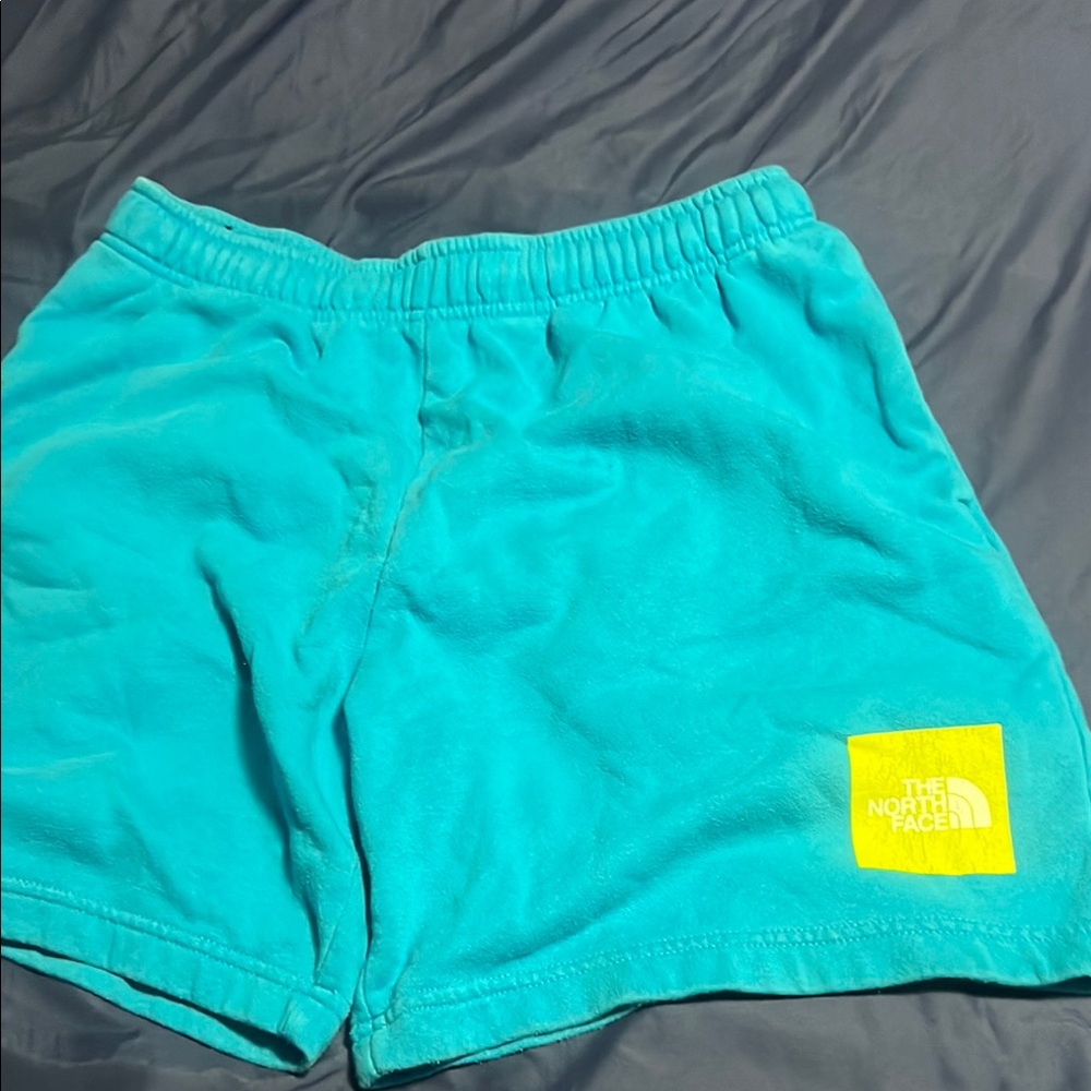 The North Face Aqua Blue Shorts